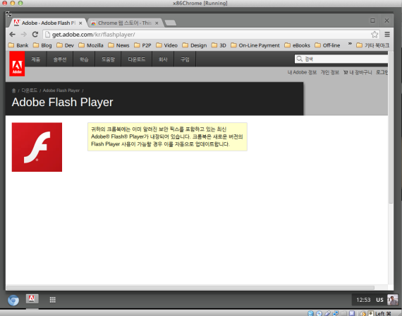 Adobe Flash page says it's already installed.